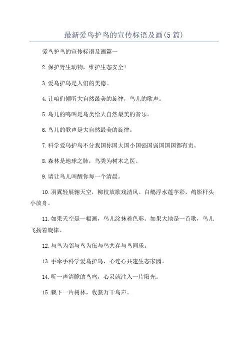 最新爱鸟护鸟的宣传标语及画(5篇)