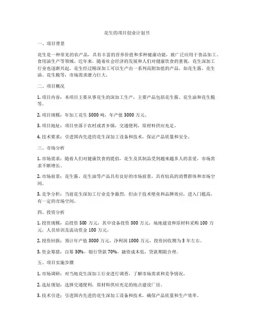 花生的项目创业计划书