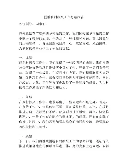 团委乡村振兴工作总结报告