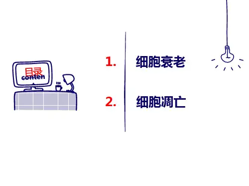 细胞的衰老和凋亡