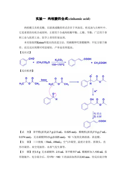 综合化学实验-有机部分(修改)
