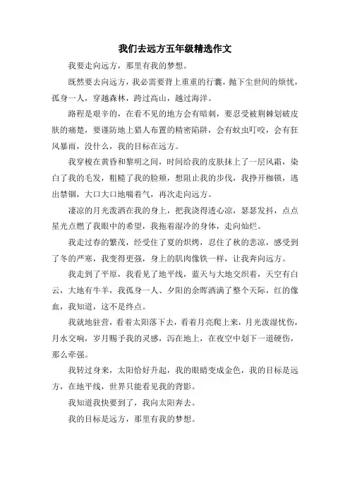 精选我们去远方五年级作文(1)