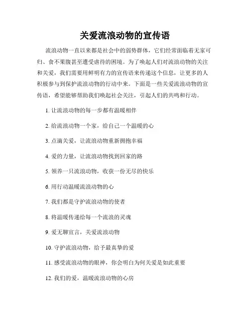 关爱流浪动物的宣传语
