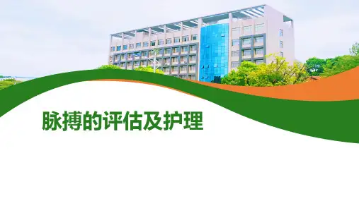 《护理学基础》课件——脉搏的评估及护理