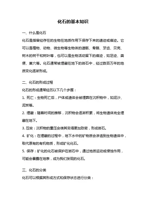 化石的基本知识