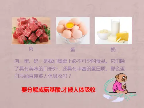 氨基酸的结构与性质