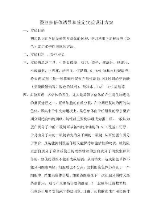 蚕豆多倍体诱导和鉴定实验设计方案