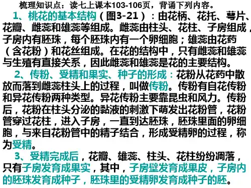 初中生物人教版七年级上册第三节 开花和结果