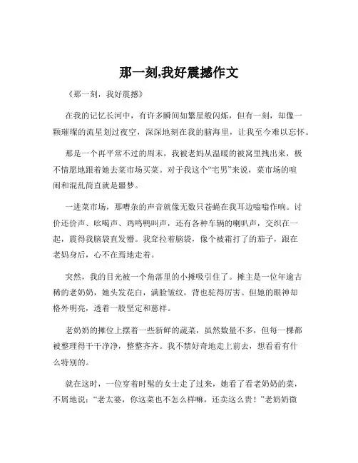 那一刻,我好震撼作文