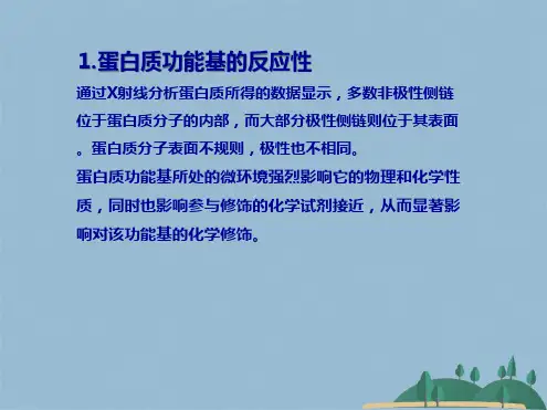 第四讲蛋白质的化学修饰(共94张PPT)