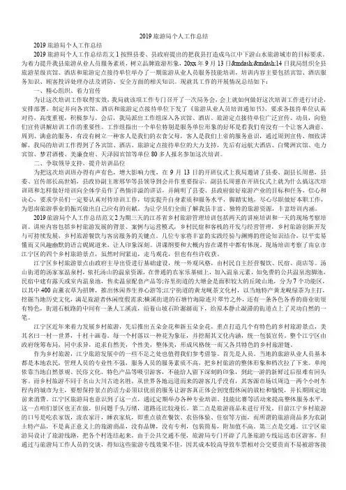2019旅游局个人工作总结