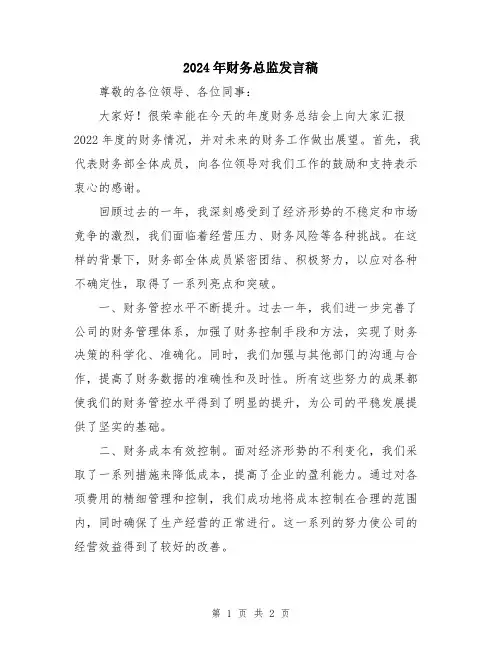 2024年财务总监发言稿