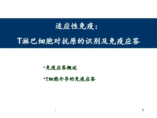 T细胞介导的细胞免疫应答PPT课件