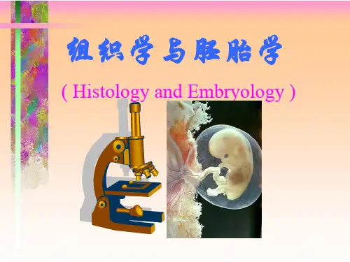 组织学与胚胎学01绪论(平台)1 绪论