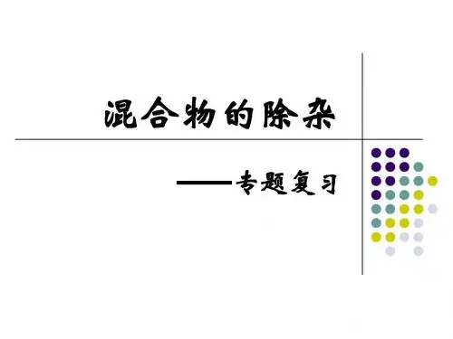 除杂_专题复习
