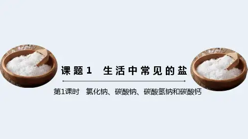 人教版九年级化学下册《生活中常见的盐》(第1课时)同步课件