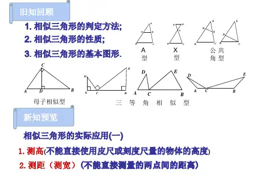 相似三角形应用举例一测量金字塔高度河宽问题