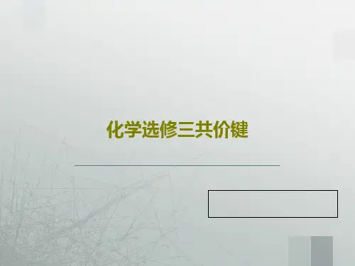 化学选修三共价键28页PPT