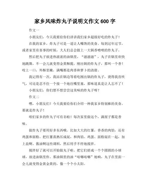 家乡风味炸丸子说明文作文600字