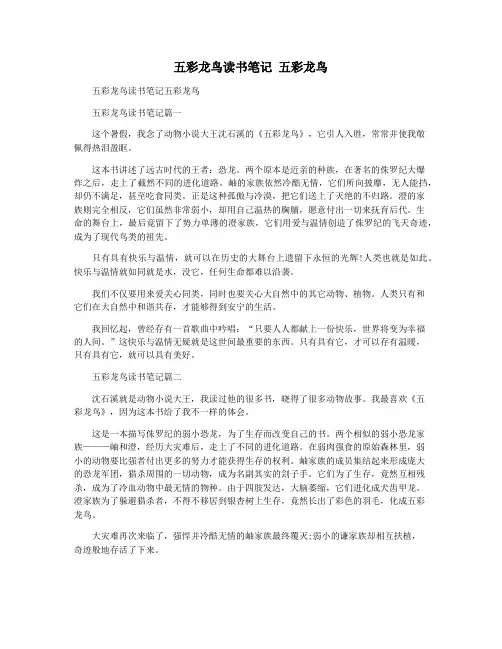 五彩龙鸟读书笔记 五彩龙鸟