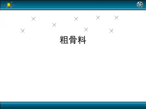 土木工程材料--粗骨料