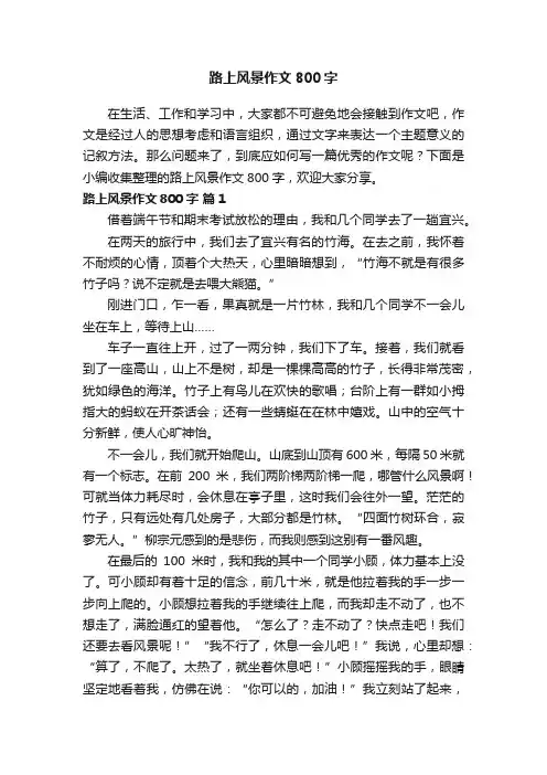 路上风景作文800字（通用35篇）