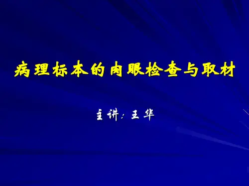 病理标本的肉眼检查与取材