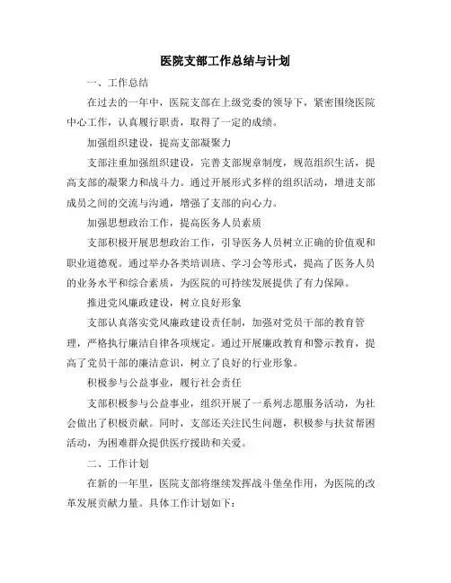 医院支部工作总结与计划