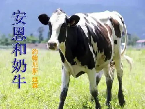 《安恩和奶牛》 精品PPT课件(11张)