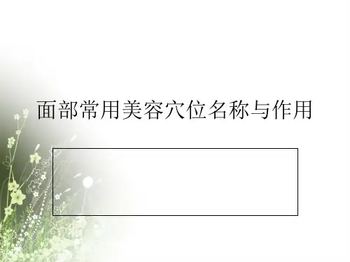 面部美容穴位(1)PPT课件