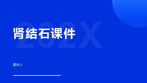 肾结石课件