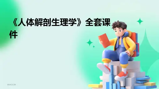 2024版《人体解剖生理学》全套课件