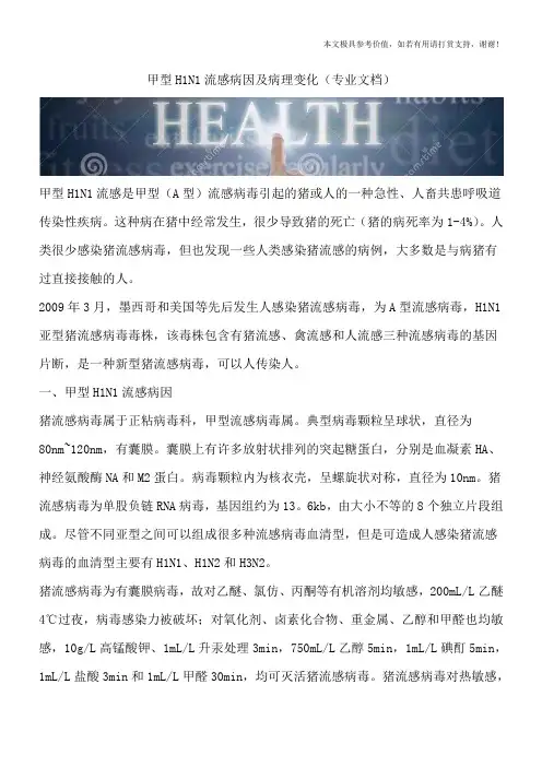 甲型H1N1流感病因及病理变化(专业文档)