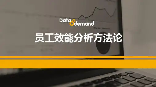 人力资源效能分析(方法论与案例)
