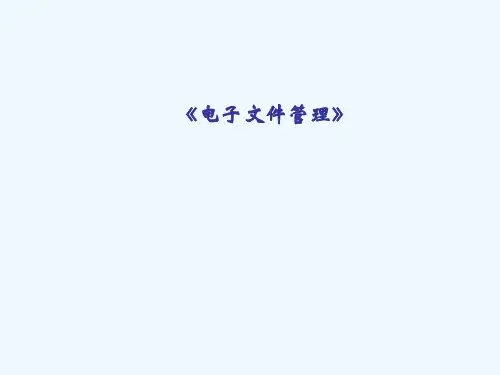 第三章电子文件的类型与格式(全)