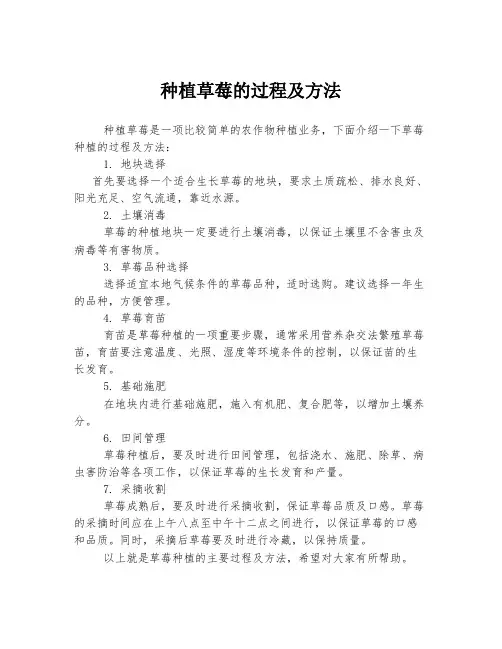 种植草莓的过程及方法