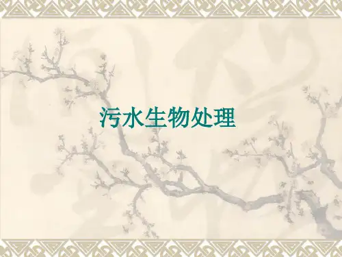 污水生物处理(好氧、厌氧生物处理)
