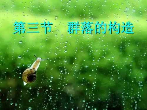 群落的结构市公开课一等奖课件名师大赛获奖课件