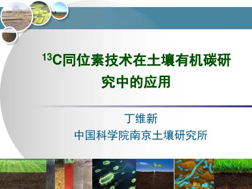 13C同位素技术在土壤有机碳研究中的应用-丁维新