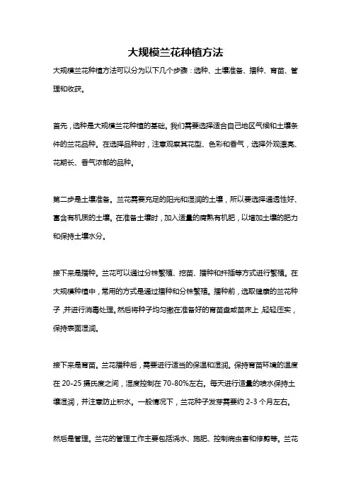 大规模兰花种植方法