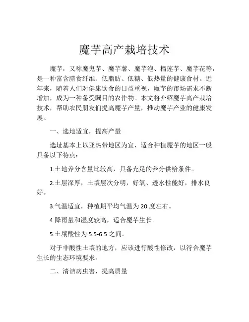 魔芋高产栽培技术
