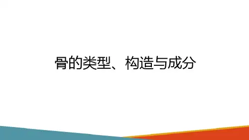动物运动系统—骨的类型、构造与成分(动物解剖课件)