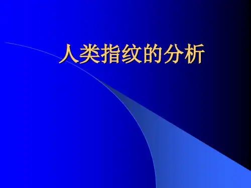 人类指纹分析