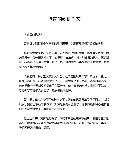 偷窃的教训作文