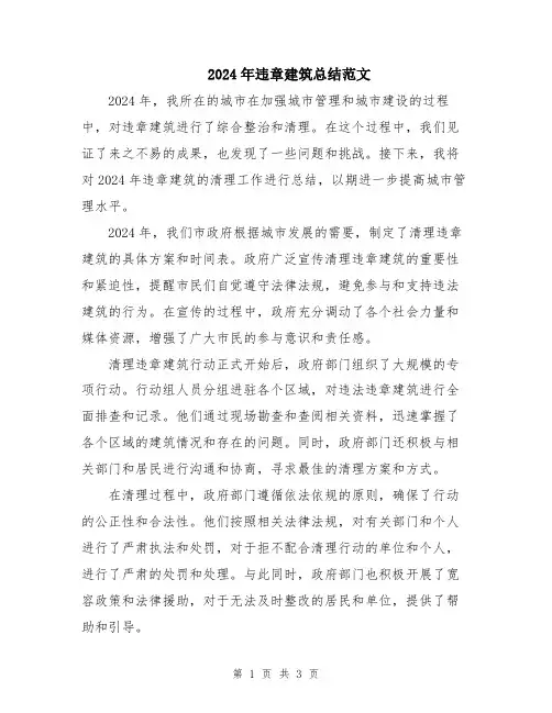 2024年违章建筑总结范文