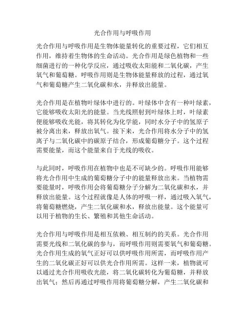 光合作用与呼吸作用