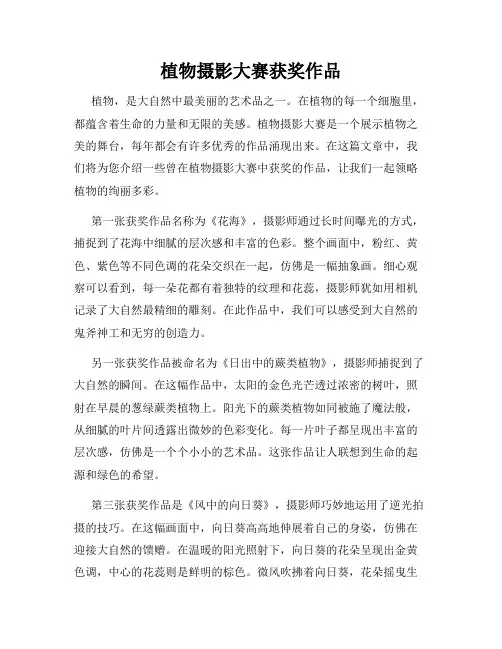 植物摄影大赛获奖作品