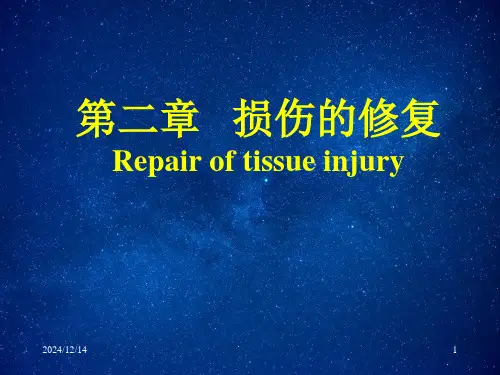 病理学损伤的修复课件