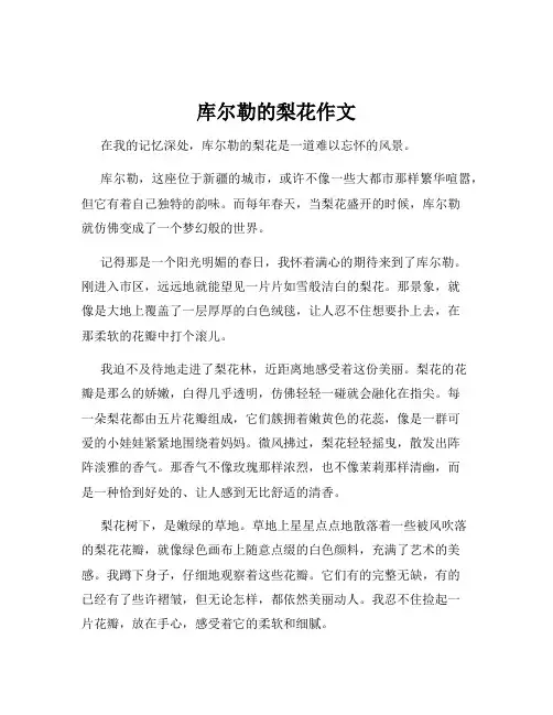 库尔勒的梨花作文