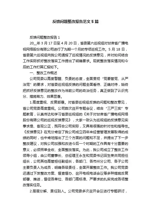 反馈问题整改报告范文5篇